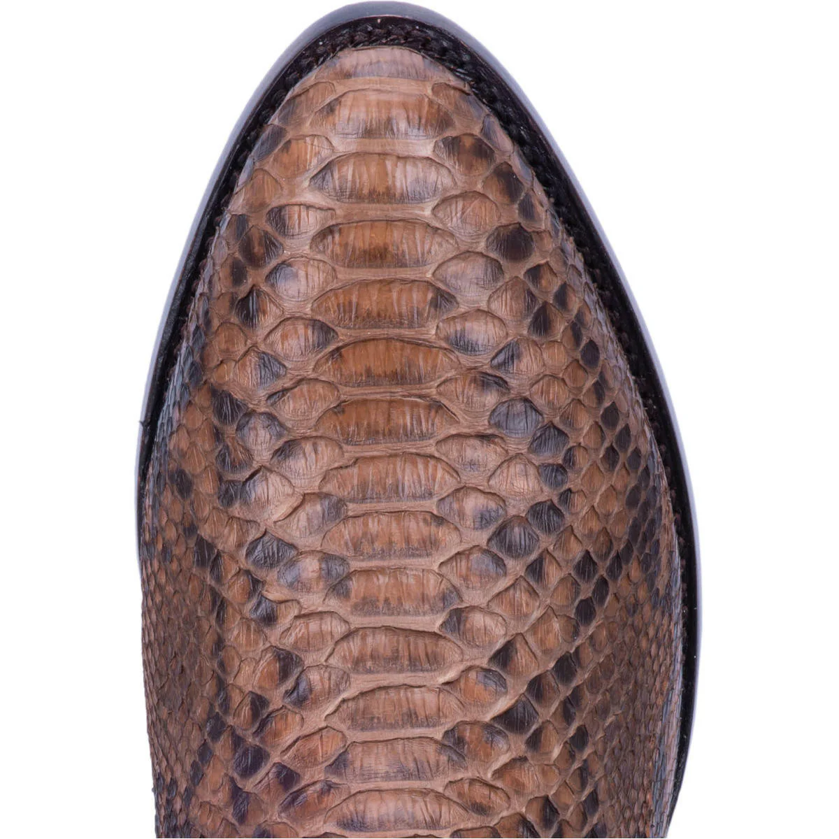 Men's Manning Chocolate Python by Dan Post Boot DP3037 - Image 3