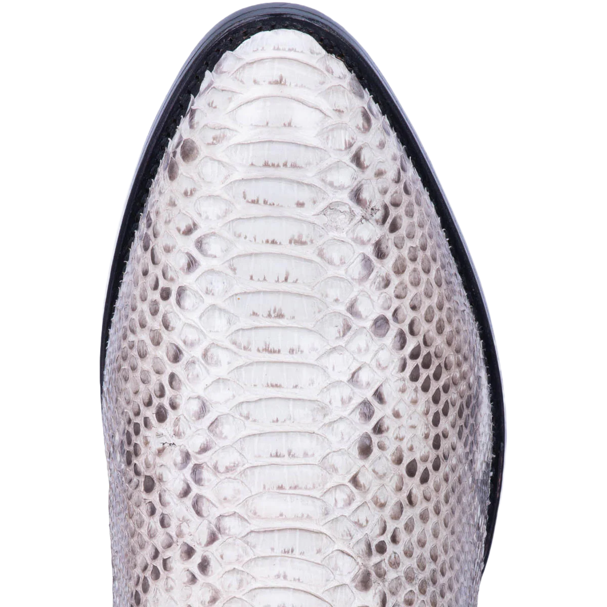 Men's Manning Python Cowboy Boot by Dan Post DP3036 - Image 6